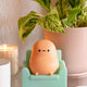 Tayto Couch Potato Lamp